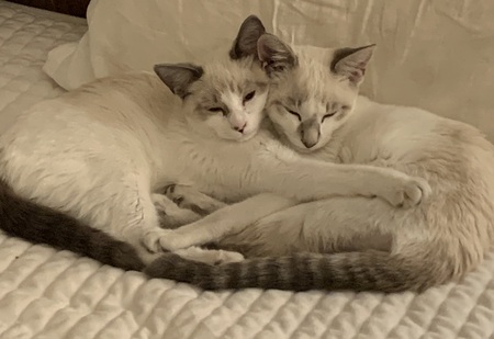 Rosie and Sam