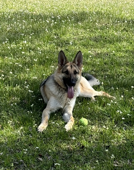 Jax
