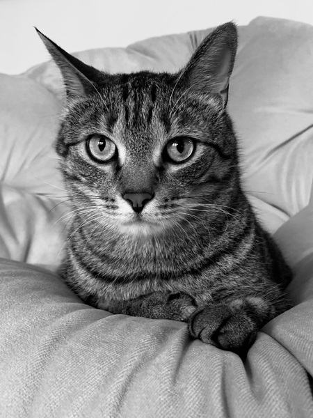 Marley