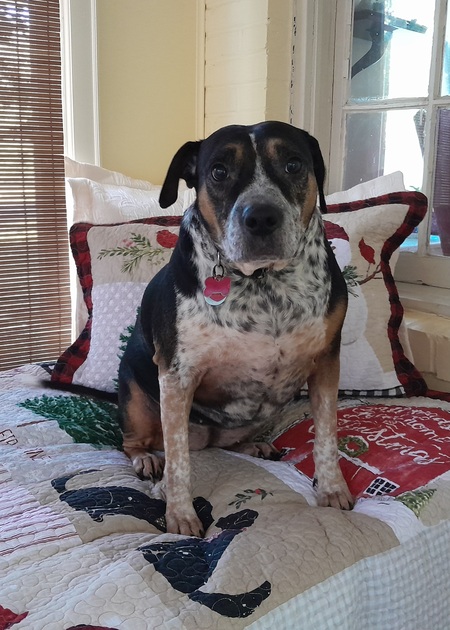 Esther