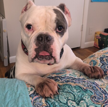 Lucy 