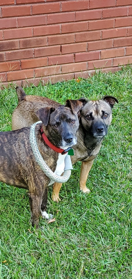 Ruby & Charlie