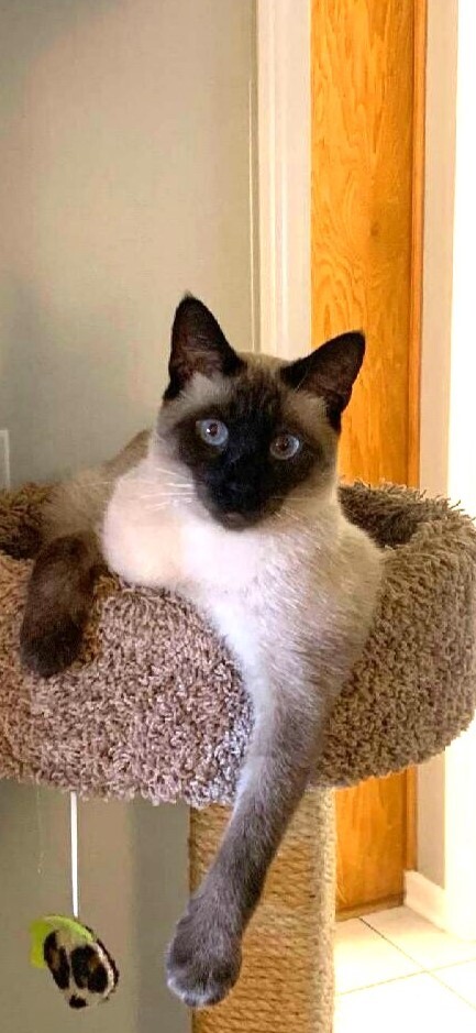 Benji