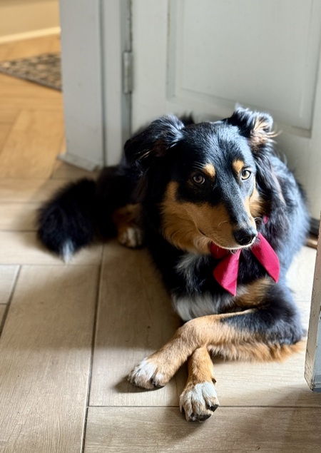Darcy