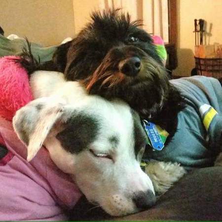 Charlie & Rue