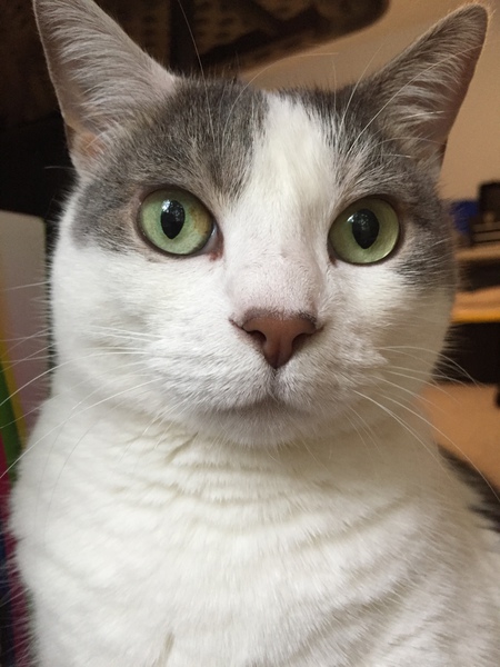 Miss Lucy