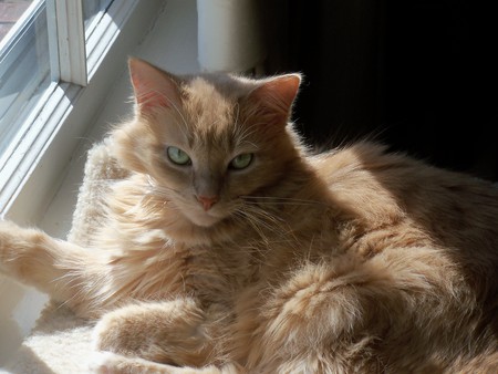 Lucille Ball, aka Lucy