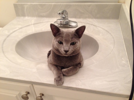 Little Boris