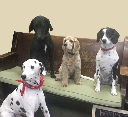Cody, Tommy, Rusty and Molly