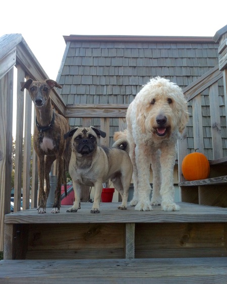 Rusko, Baxter, Isaac