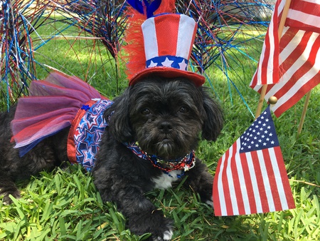 Darla