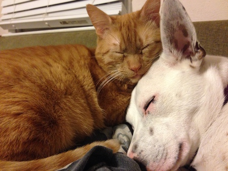 Nina and Hodor