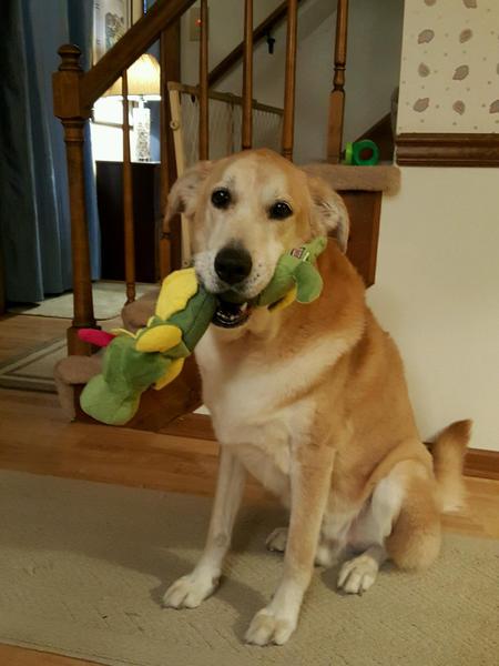 Tucker