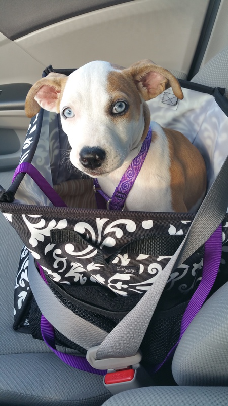 Matilda "Tilly" Mae Burroughs 