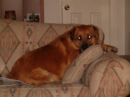 Gracie Lou