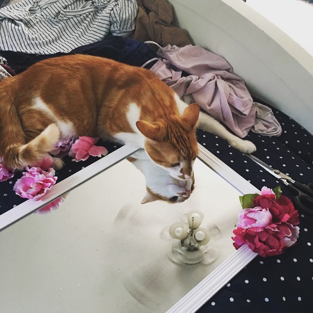 Oscar 
