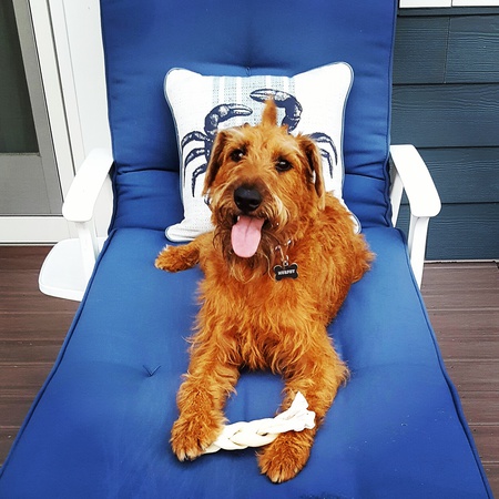 Murphy