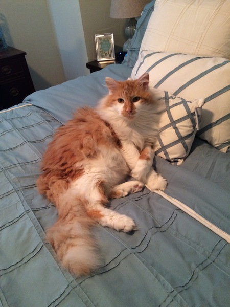 George
