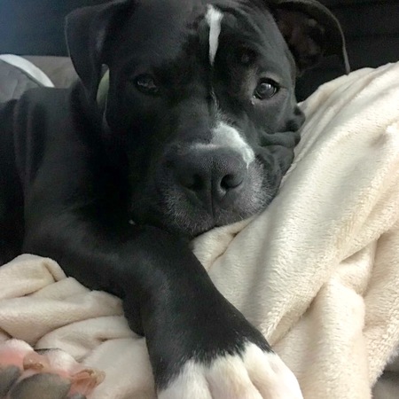 Skylar
