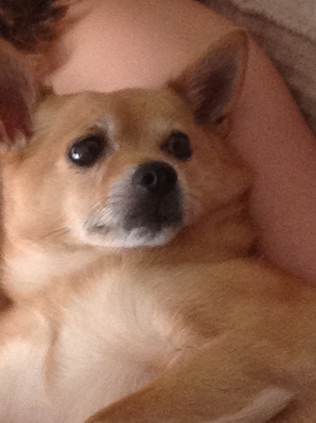 Sammy