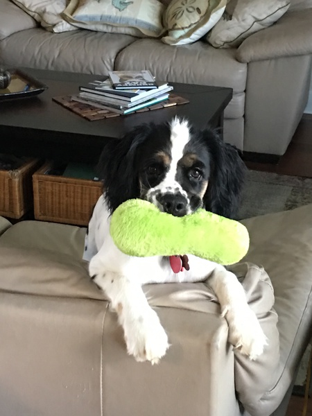 Petey