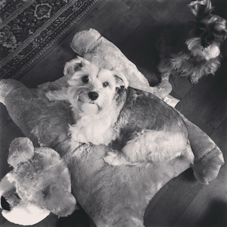 Chauncey & Stella 