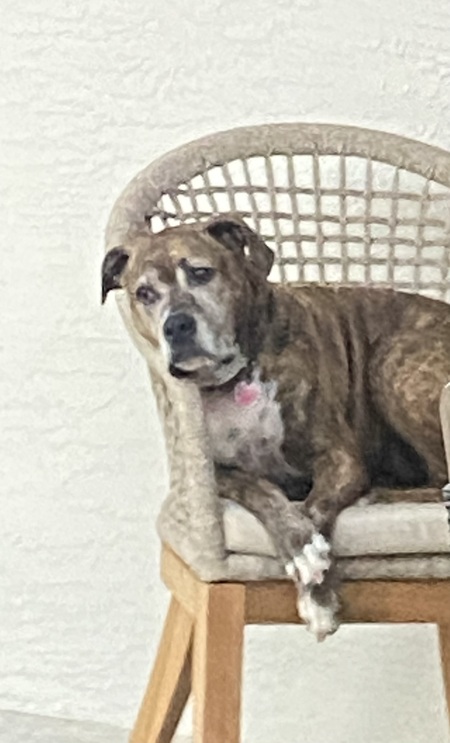 Lola