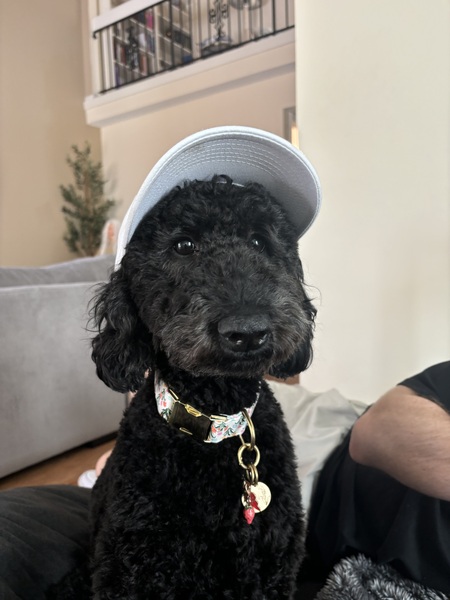 Wynnie