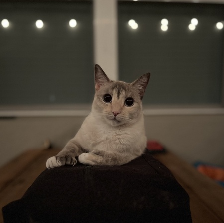 Chili