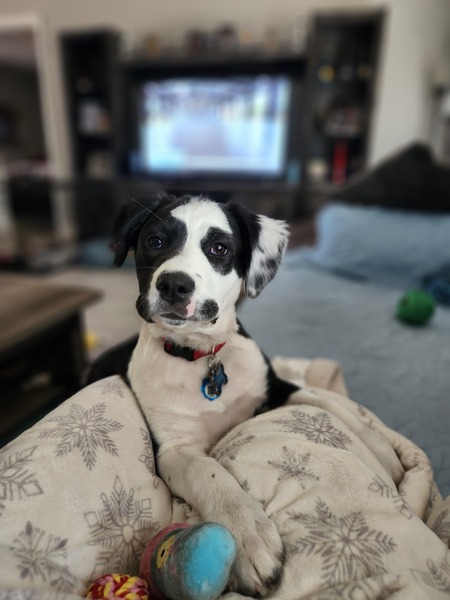 Sammi 