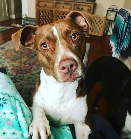 Riley