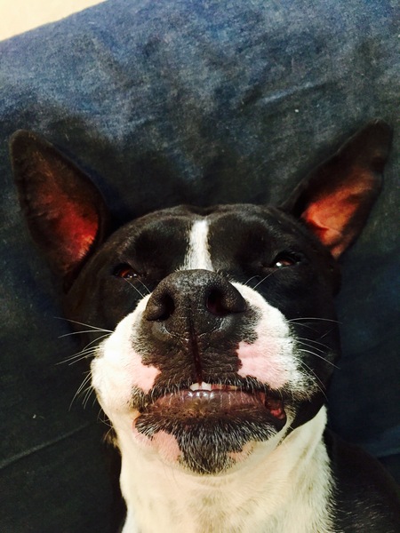 Roxy