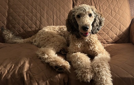 Maggie 