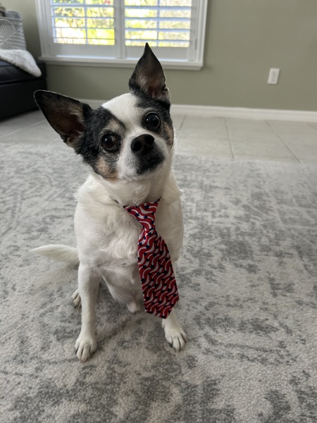 Milo