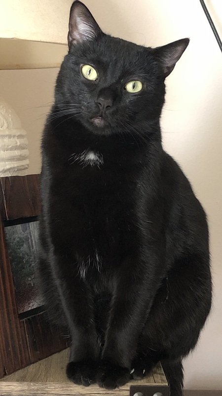 Jet