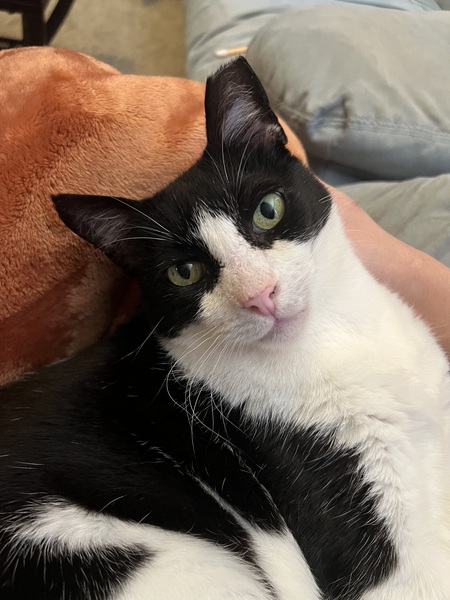 Oscar