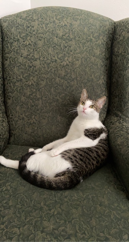 Percy