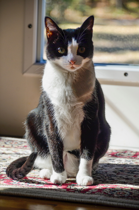 Maggie