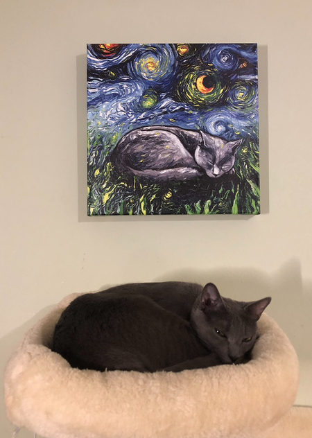 Hazel
