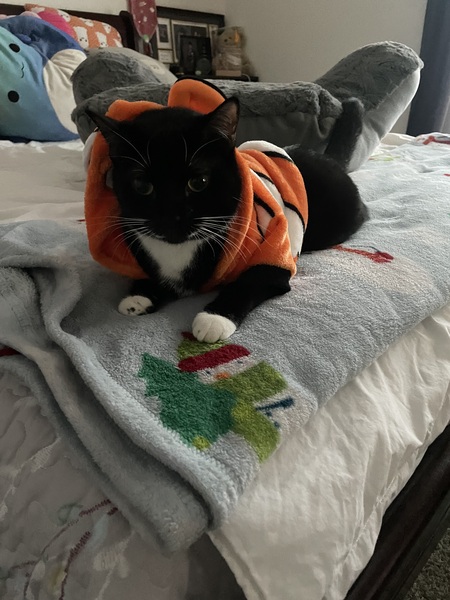 Kiki