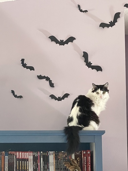 Princess Oreo Cookie 