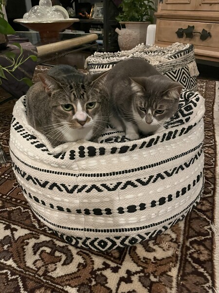 Samantha & Savannah