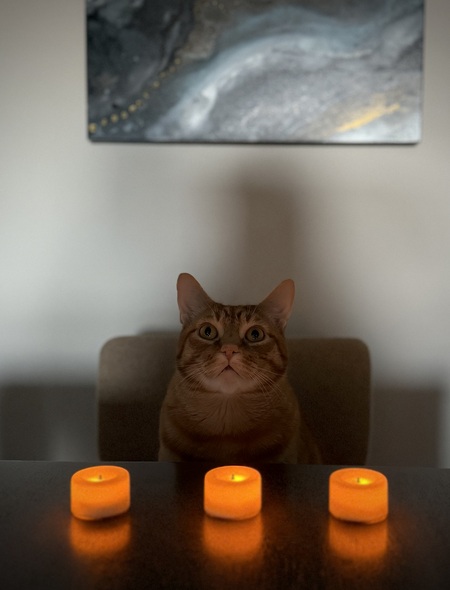 Beau