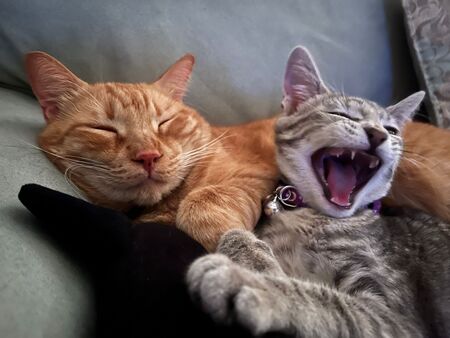 Gio and Luna