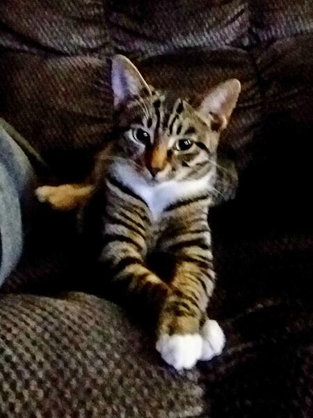 Entry image for Skeeter. Clicking this image will show a larger photo