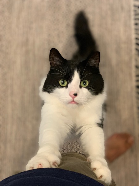 Watson