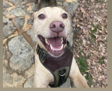 Mya