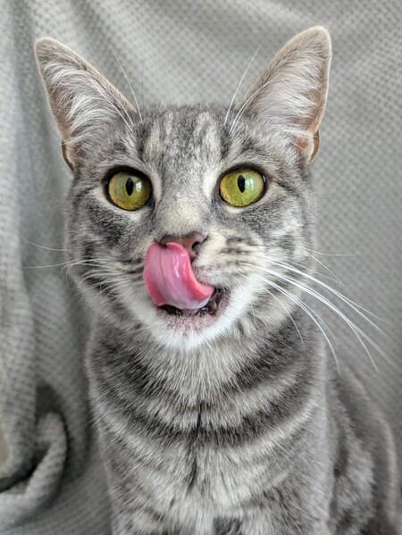 Mia