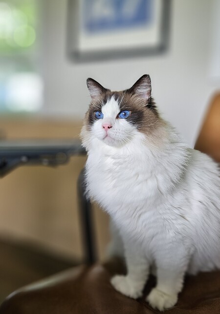 Winnie
