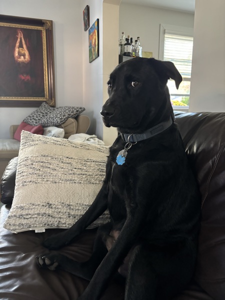 Paul